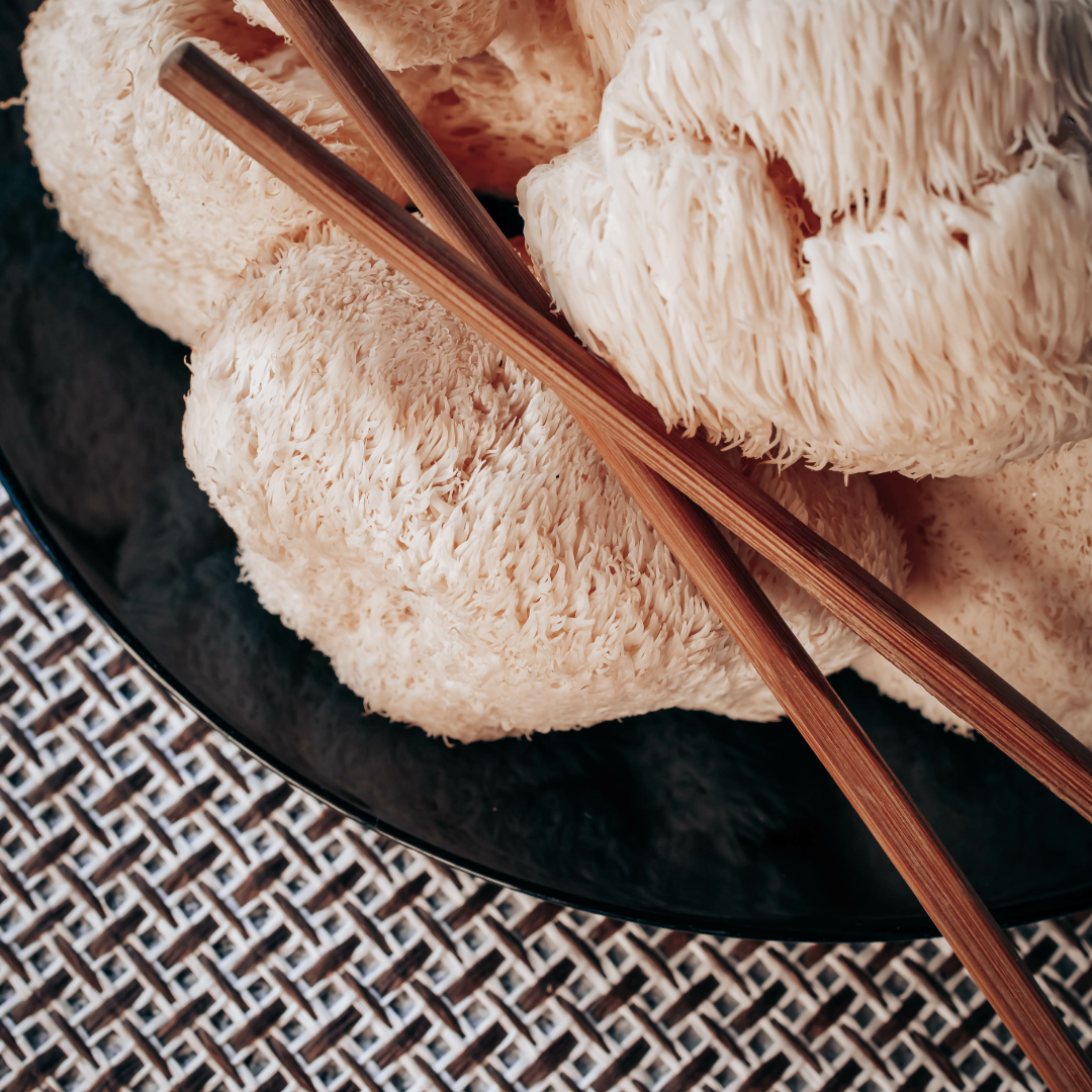 Does Lion’s Mane Help with Focus and Concentration – and How?