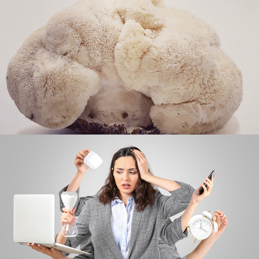 Lion’s Mane and Its Role in Stress Relief: A Deep Dive into Nature’s Neural Ally