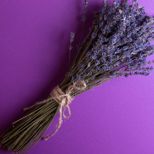 Exploring the Impact of Lavender on Mood and Emotion