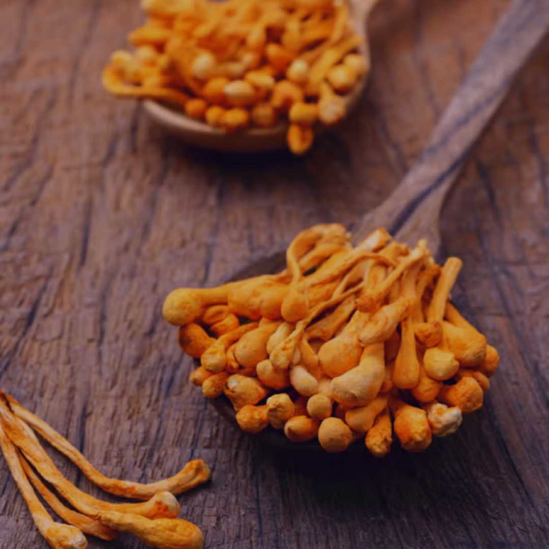 How Cordyceps Can Aid in Recovery Post-Workout