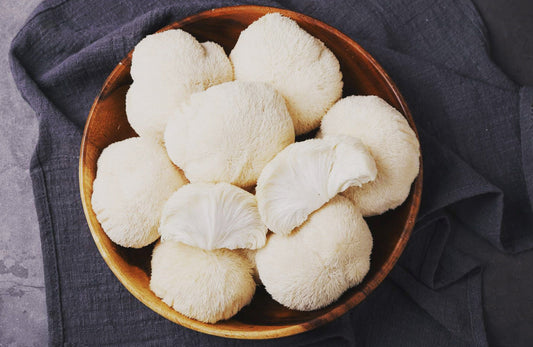 Exploring Lion’s Mane Mushroom’s Potential in Alzheimer’s Prevention