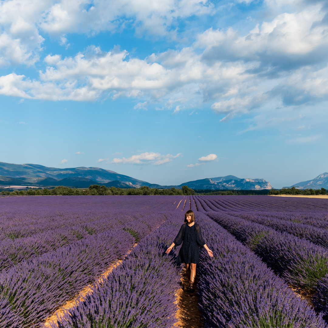 The Environmental Impact of Lavender Farming