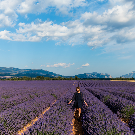 The Environmental Impact of Lavender Farming