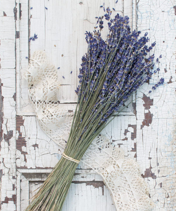 Does Lavender Extract Help Gut Microbiota?