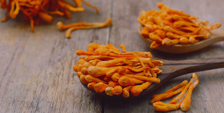 The History of Cordyceps in Traditional Medicine