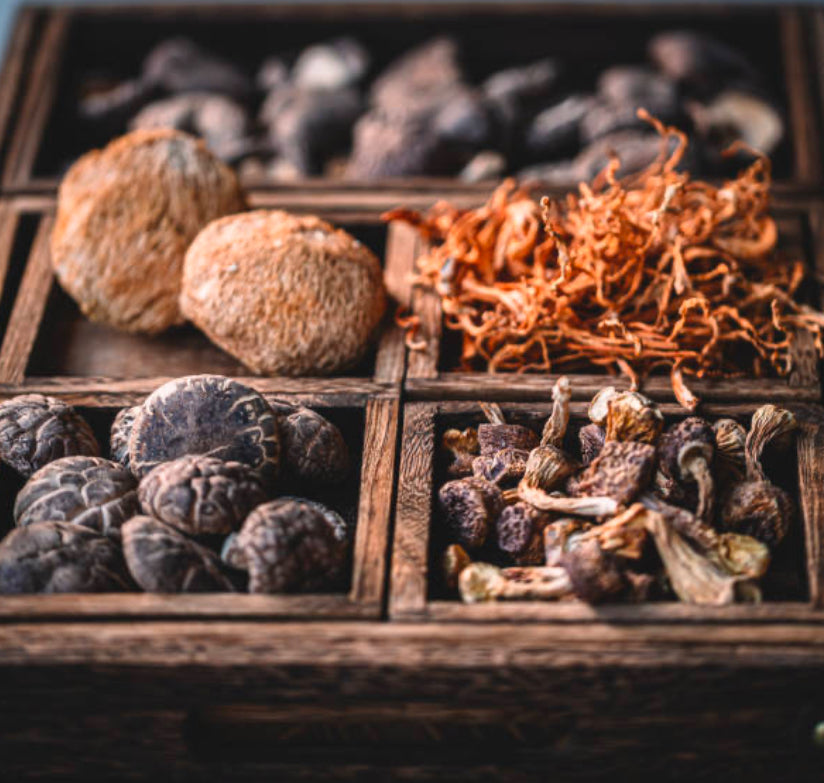 The Power of Adaptogens: Harnessing Nature’s Resilience in Everyday Life