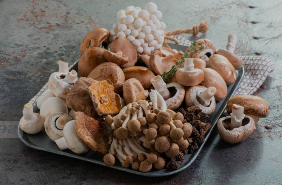 Functional Mushrooms: Nature’s Superfood