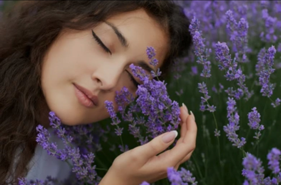 Lavender Extract for Stress Relief: A Natural Solution