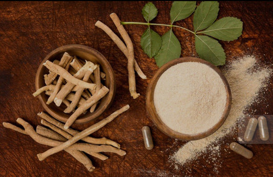 How Ashwagandha Supports Immune Function