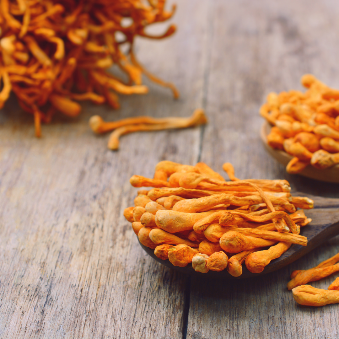 Harnessing the Power of Cordyceps Mushrooms for Exercise and Wellness